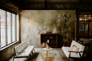 Wild Carrot St. Louis